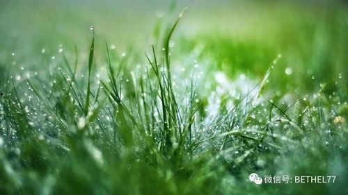 国产三级 第6页